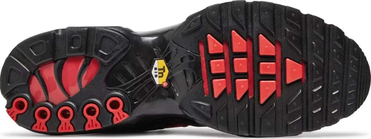 Nike Air Max Plus 'Metal Mesh Black Red' (2021)